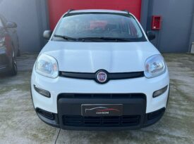 FIAT PANDA 1.0 FireFly 70cv S&S Hybrid City Life