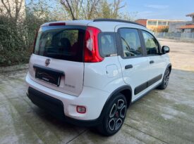 FIAT PANDA 1.0 FireFly 70cv S&S Hybrid City Life